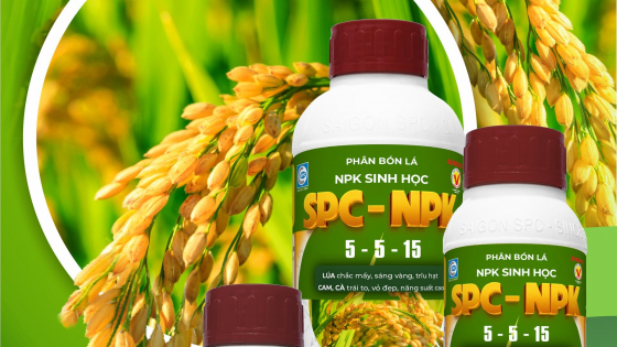 phan-bon-la-npk-sinh-hoc-spc-npk-5-5-15