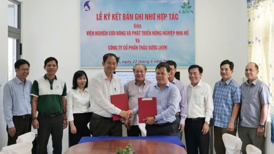 hop-tac-phat-trien-cay-duoc-lieu