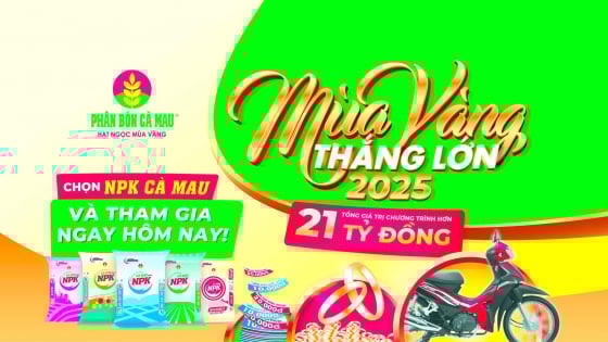 npk-ca-mau-20-10-10:-chon-dung,-trung-mua-vang