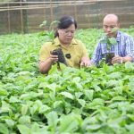 giong-tot,-yeu-to-song-con-dam-bao-hieu-qua-trong-ca-phe